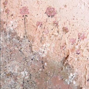 Meet your Posher, Jayden